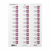 Katzenfutter (Vorne)