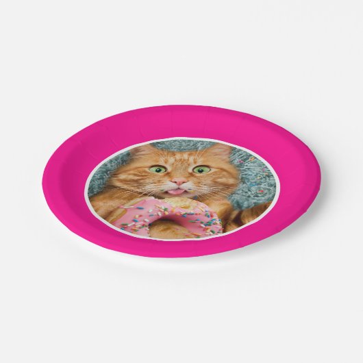 Katzenfutter Pappteller (Schrägansicht)