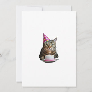 Katzengeburt Einladung