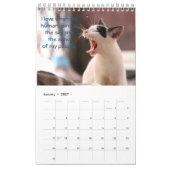 Katzengedanken Kalender (Jan 2027)