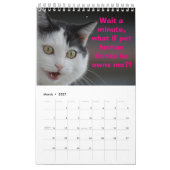 Katzengedanken Kalender (Mär 2027)