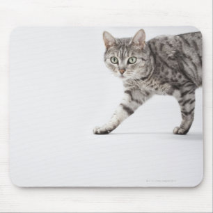 Katzengehen Mousepad