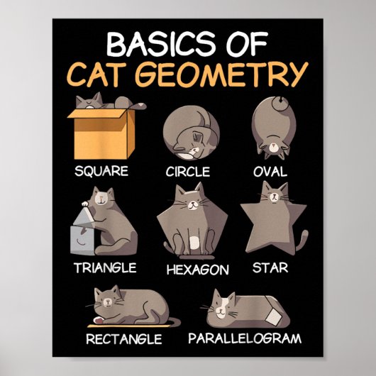 Katzengeometrie Math Funny Cat Geschenke für Katze Poster (Vorne)