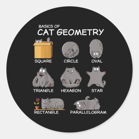Katzengeometrie Math Funny Cat Geschenke für Katze Runder Aufkleber (Vorderseite)