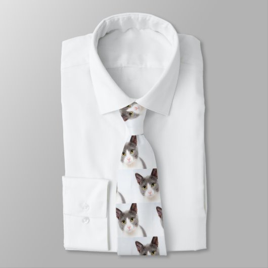 Katzengesicht 02 krawatte (Gebunden)