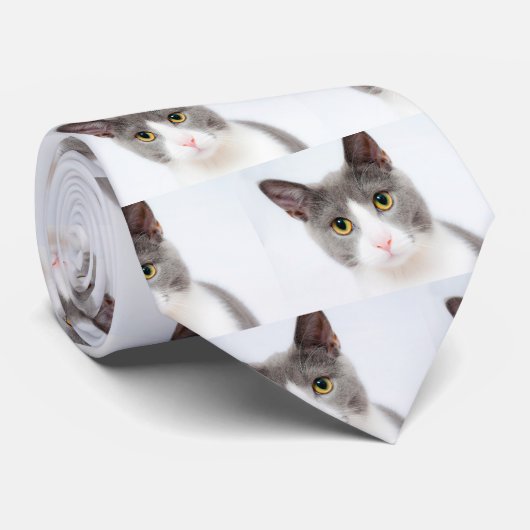 Katzengesicht 02 krawatte (Gerollt)