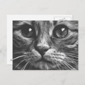Katzengesicht Augen Schwarz-Weiß-Niedliches Foto Postkarte (Vorne/Hinten)
