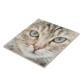 Katzengesicht Fliese (Seite)