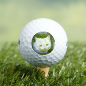 Katzengesicht Golfball (Insitu T-Shirt)