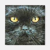 Katzengesicht, Halloween-Magnet Magnet (Vorne)