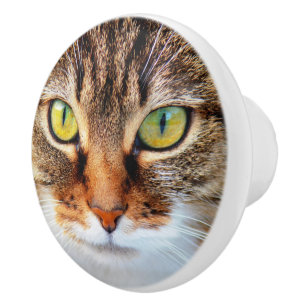 Katzengesicht Keramikknauf
