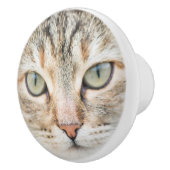 Katzengesicht Keramikknauf (Rechts)