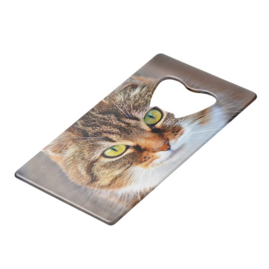 Katzengesicht Kreditkartenflaschenöffner (Vorderseite Schrägansicht)