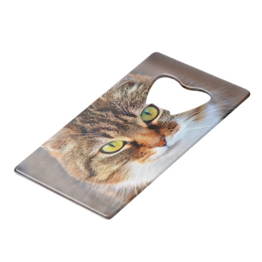 Katzengesicht Kreditkartenflaschenöffner (Rückseite Schrägansicht)