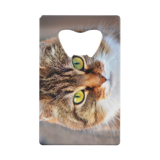 Katzengesicht Kreditkartenflaschenöffner (Rückseite)
