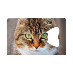 Katzengesicht Kreditkartenflaschenöffner