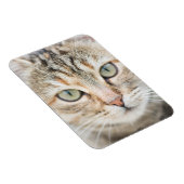Katzengesicht Magnet (Rechte Seite)