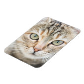 Katzengesicht Magnet (Linke Seite)