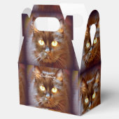 Katzengesicht/Mops Geschenkschachtel (Geöffnet)