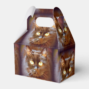 Katzengesicht/Mops Geschenkschachtel