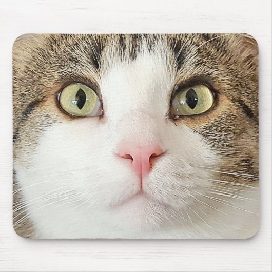 Katzengesicht Mousepad (Vorne)