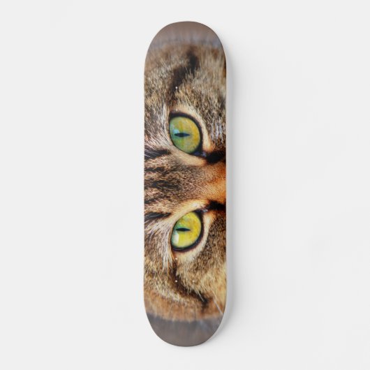 Katzengesicht Skateboard (Vorderseite)
