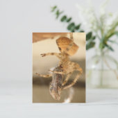 Katzengesicht-Spinne verliebt einen Abfall Postkarte (Stehend Vorderseite)