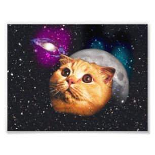 Katzengesicht und Mond Fotodruck