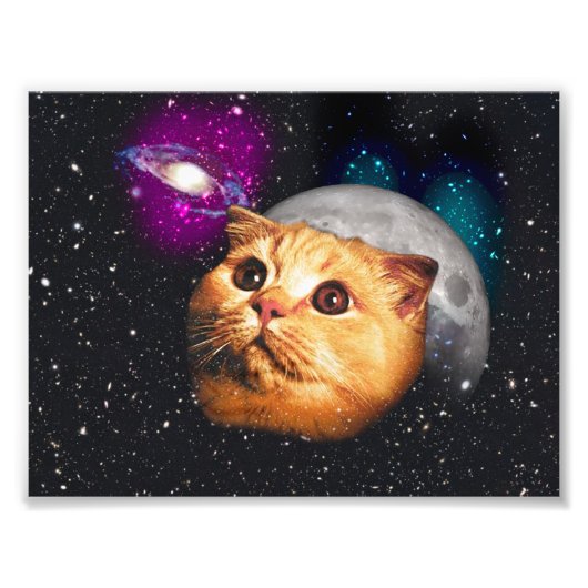 Katzengesicht und Mond Fotodruck (Vorne)