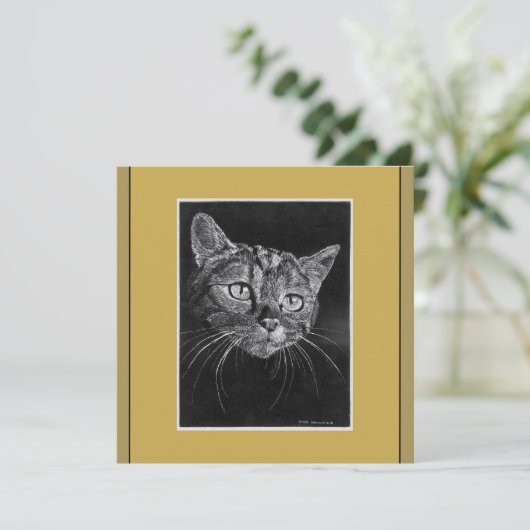 Katzengesicht Zeichnend durch Mark Edward Westerfi (Stehend Vorderseite)