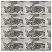 Katzengewebe ! stoff (Muster)