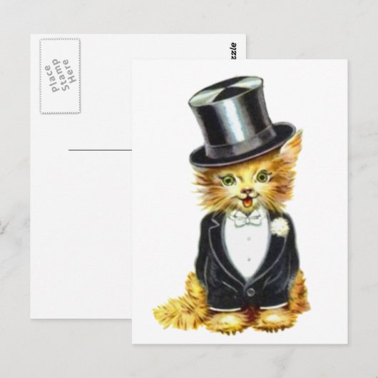 Katzengroom Postkarte (Vorne/Hinten)