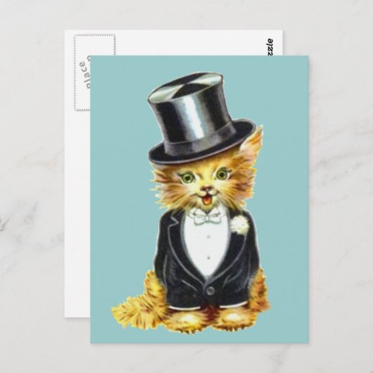 Katzengroom Postkarte (Vorne/Hinten)