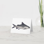 Katzenhai (Vorderseite)