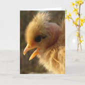 Katzenhai Karte (Gelbe Blume)