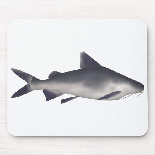 Katzenhai Mousepad (Vorne)