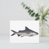 Katzenhai Postkarte (Stehend Vorderseite)