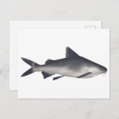 Katzenhai Postkarte (Vorne/Hinten)