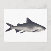 Katzenhai Postkarte (Vorderseite)