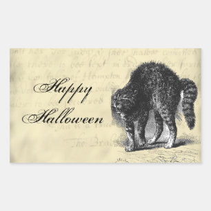 KatzenHalloween Rechteckiger Aufkleber