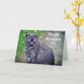 Katzenhaltung in Sitzposition Glücklich Geburtstag Karte (Gelbe Blume)