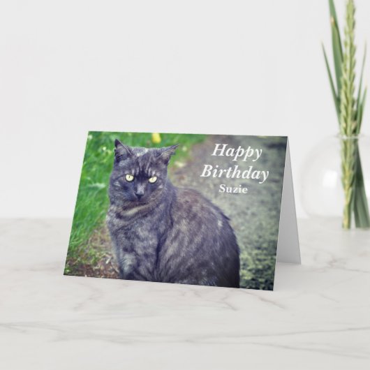 Katzenhaltung in Sitzposition Glücklich Geburtstag Karte (Vorderseite)