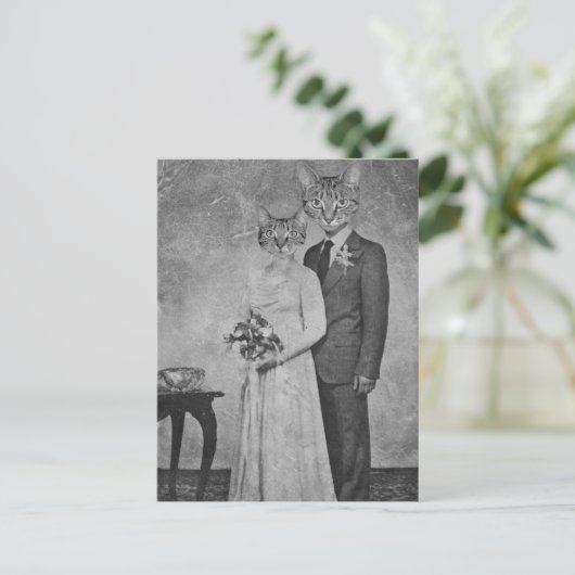 Katzenhochzeit Postkarte (Stehend Vorderseite)
