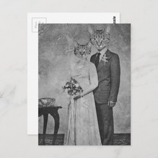Katzenhochzeit Postkarte (Vorne/Hinten)