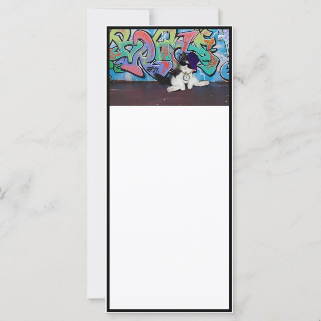 Katzenhöhe...... Kitten und Graffiti Wall (Vorderseite)