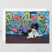 Katzenhöhe...... Kitten und Graffiti Wall Einladung (Vorne/Hinten)