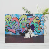 Katzenhöhe...... Kitten und Graffiti Wall Einladung (Stehend Vorderseite)