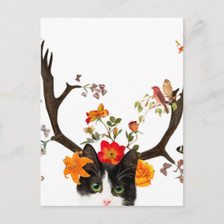 Katzenhörner Postkarte