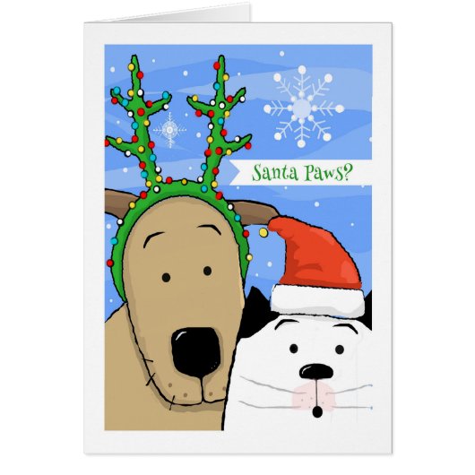 Katzenhunde Rentierfäule und Santa Paws (Vorne)