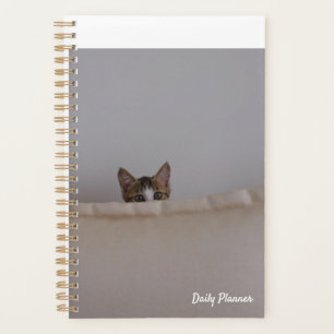 Katzenjacke Planer